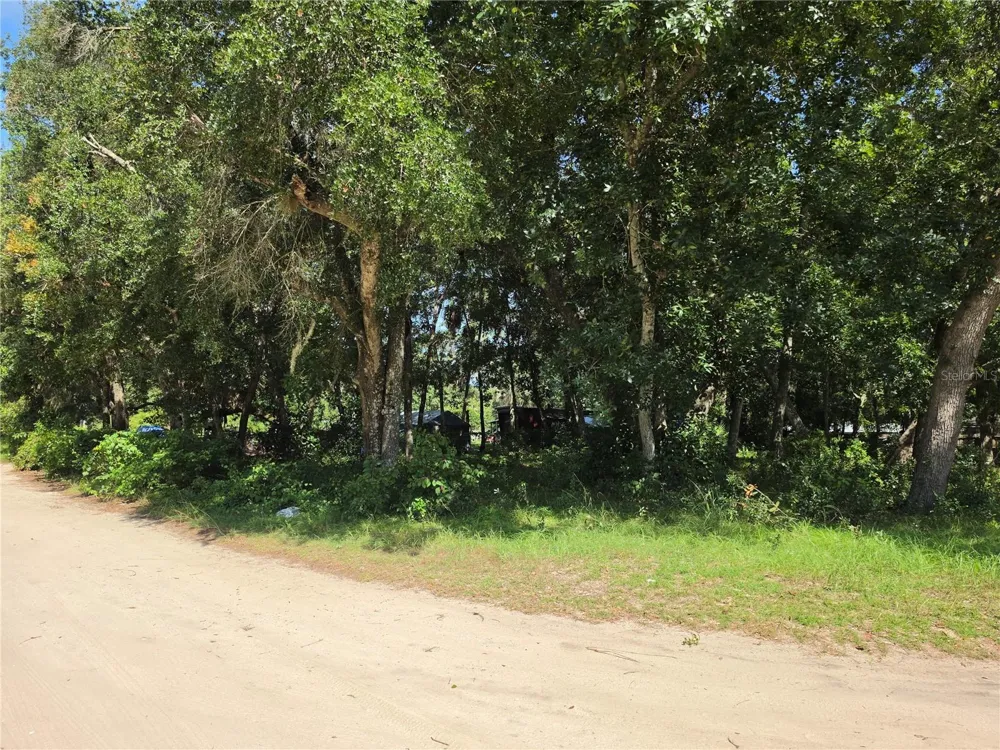 0 NE 167TH TERRACE Silver Springs, FL 34488