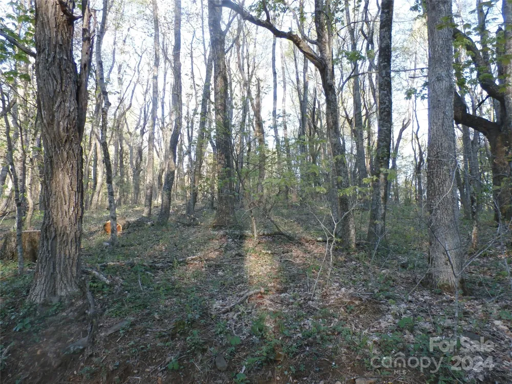 288 Firetower Road Spruce Pine, NC 28777