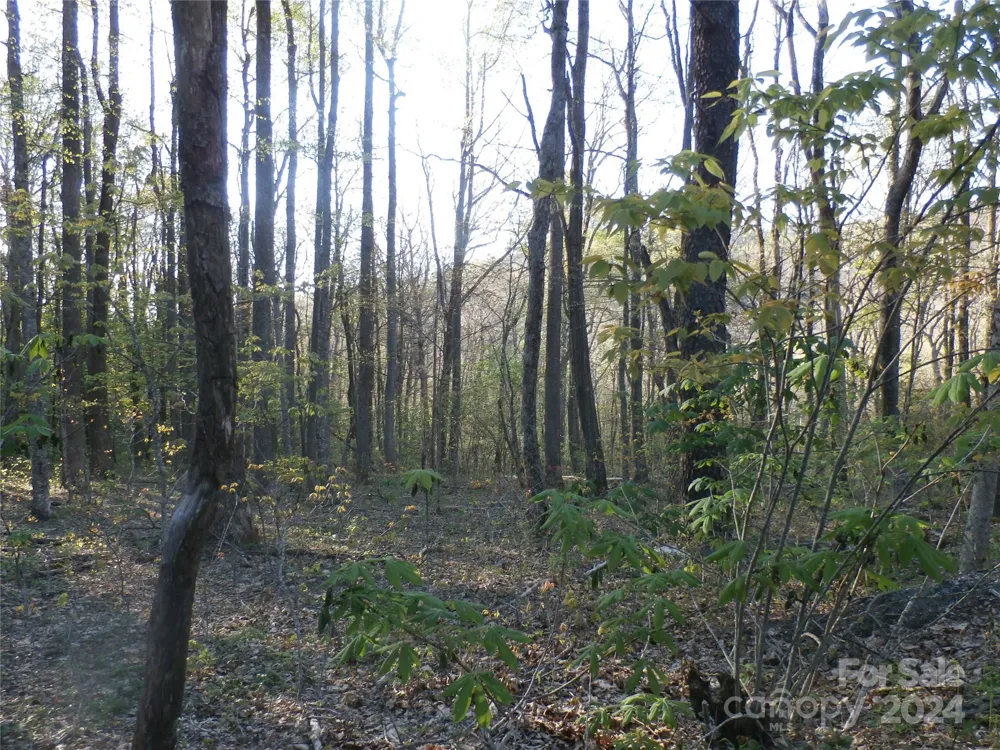 288 Firetower Road Spruce Pine, NC 28777