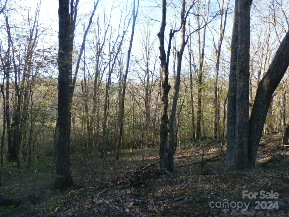 288 Firetower Road Spruce Pine, NC 28777
