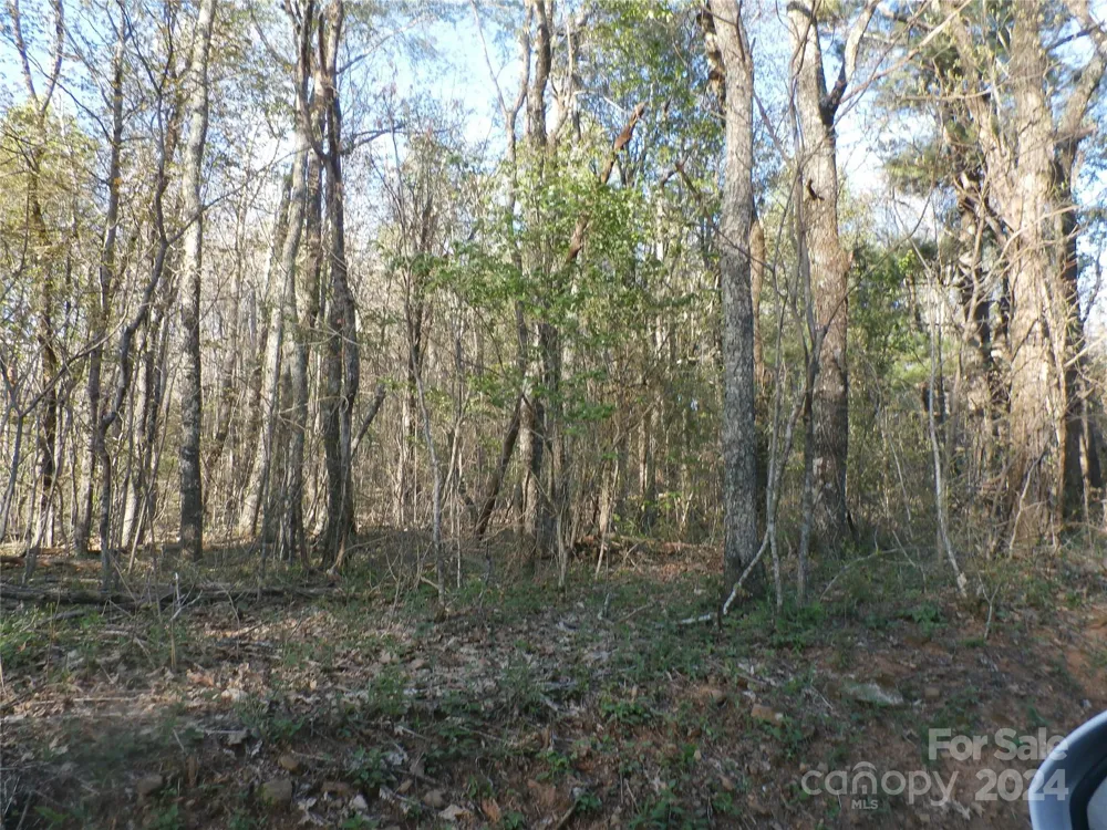 288 Firetower Road Spruce Pine, NC 28777