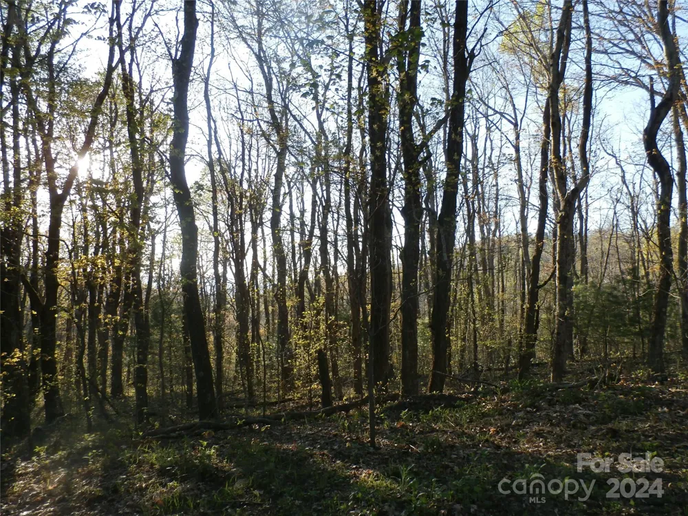 288 Firetower Road Spruce Pine, NC 28777
