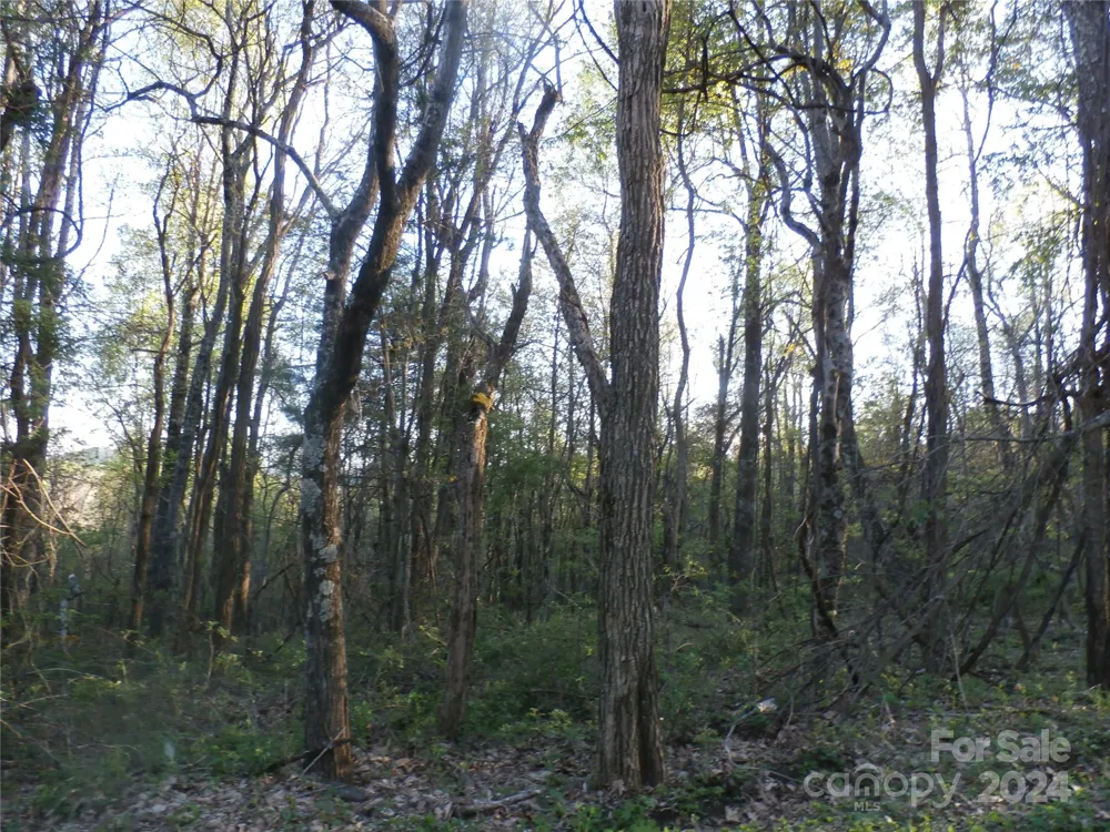 288 Firetower Road Spruce Pine, NC 28777