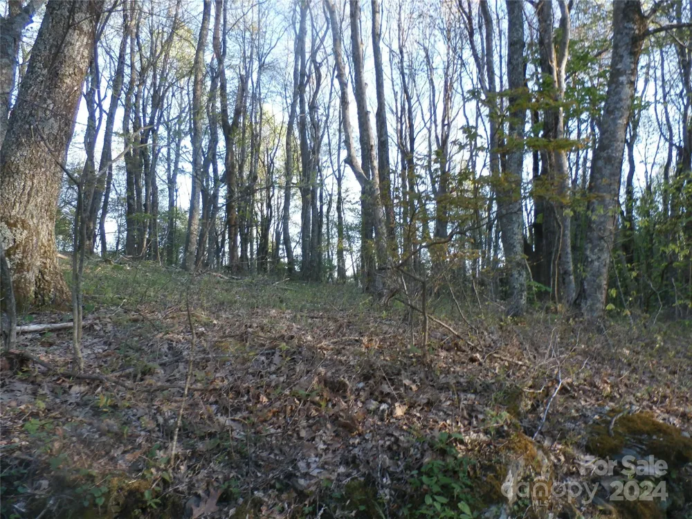 288 Firetower Road Spruce Pine, NC 28777