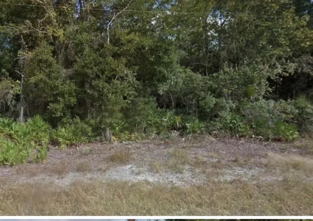 0 MITCHELL AVENUE Mims, FL 32754