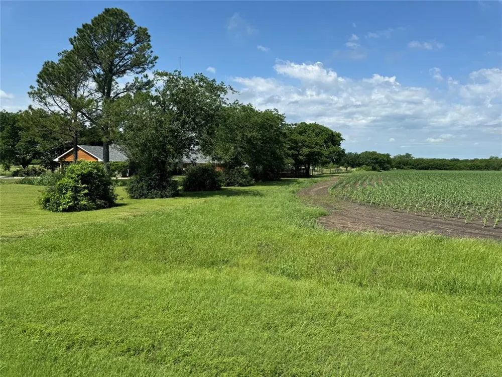 1273 Wall Street Road Gunter, TX 75058