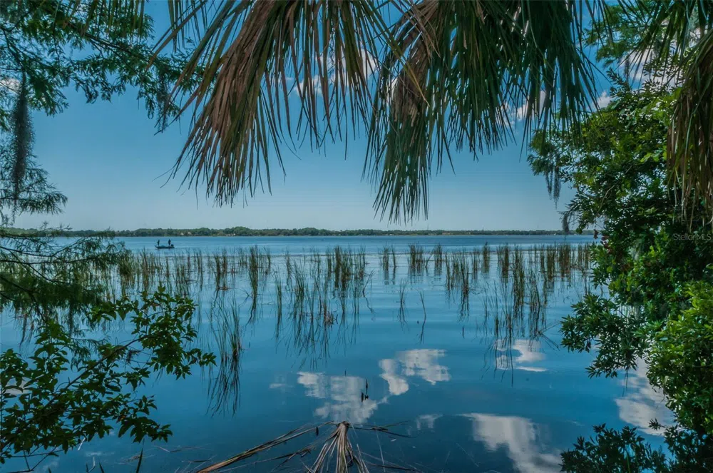4390 TARPON LAKE BOULEVARD Palm Harbor, FL 34685
