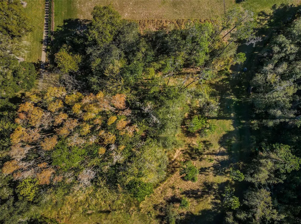 4390 TARPON LAKE BOULEVARD Palm Harbor, FL 34685