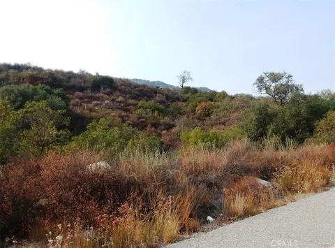 Carancho Road