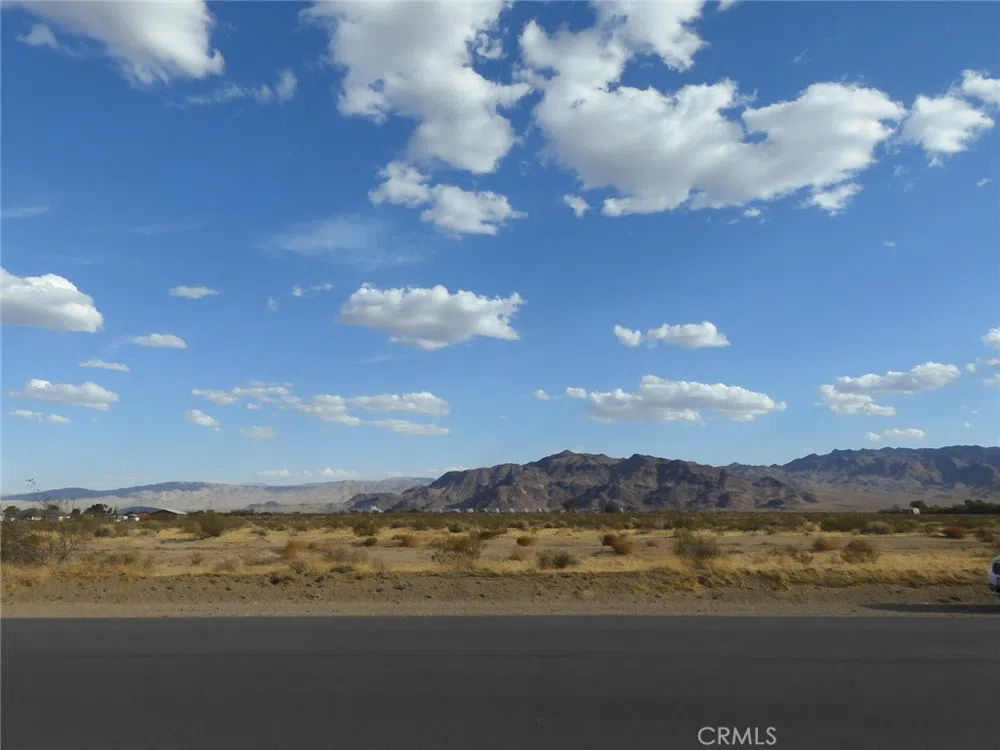 Silver Valley Road Newberry Springs, CA 92365