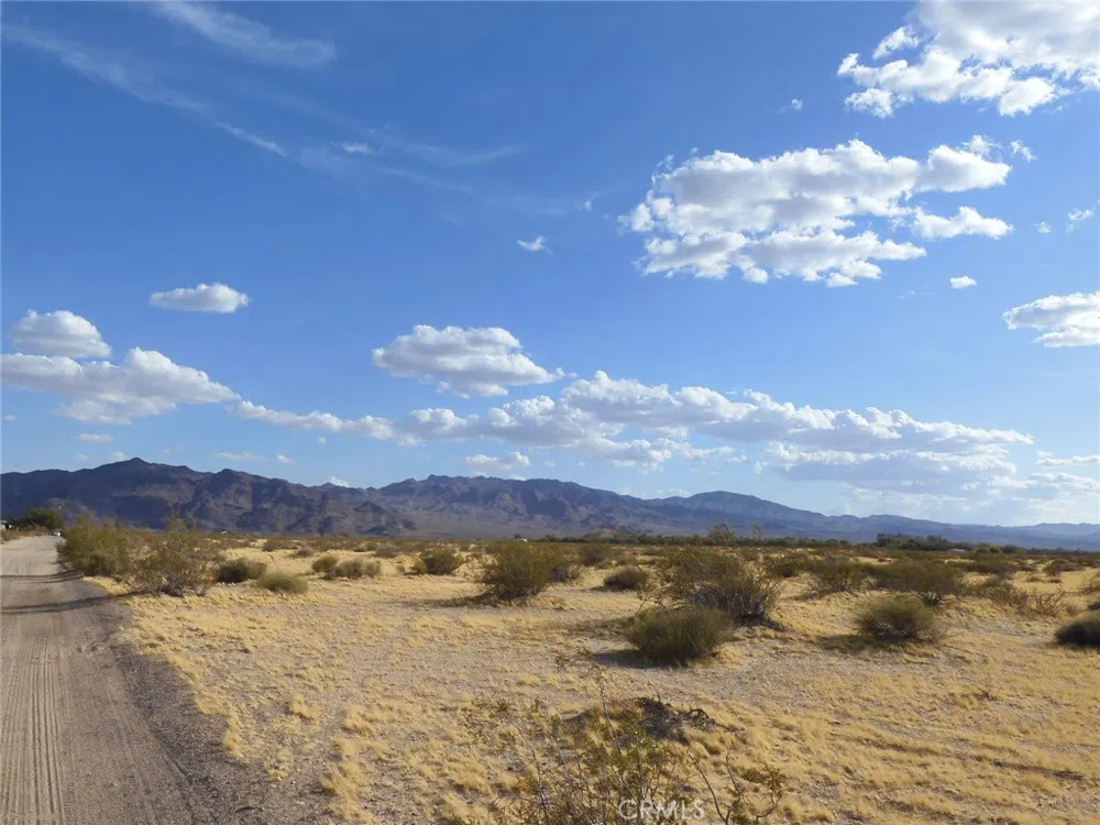 Silver Valley Road Newberry Springs, CA 92365
