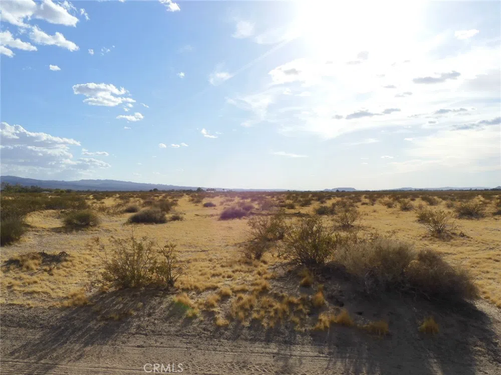 Silver Valley Road Newberry Springs, CA 92365