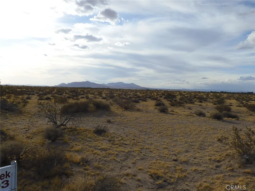 Silver Valley Road Newberry Springs, CA 92365