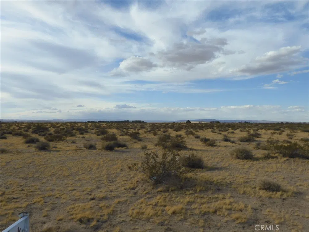 Silver Valley Road Newberry Springs, CA 92365