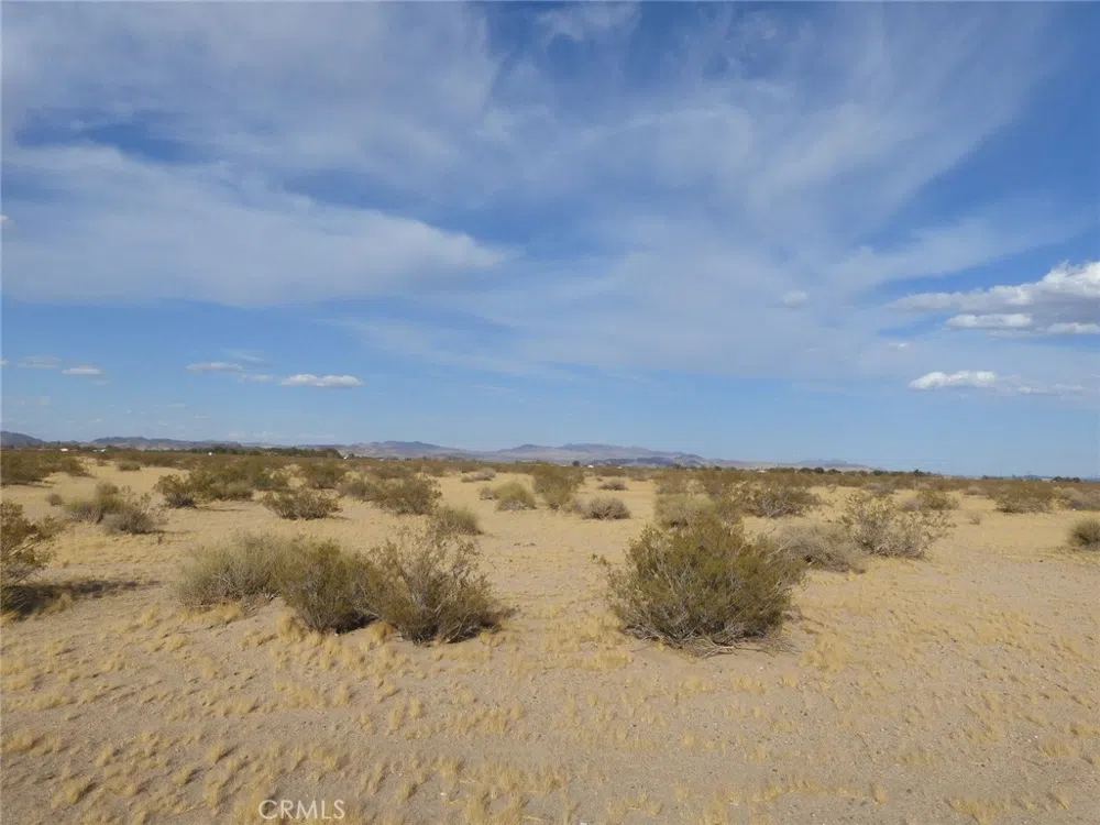 Silver Valley Road Newberry Springs, CA 92365