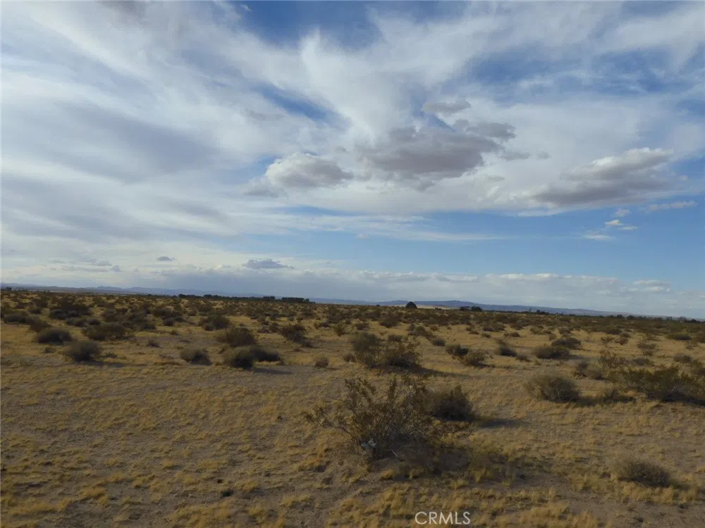 Silver Valley Road Newberry Springs, CA 92365