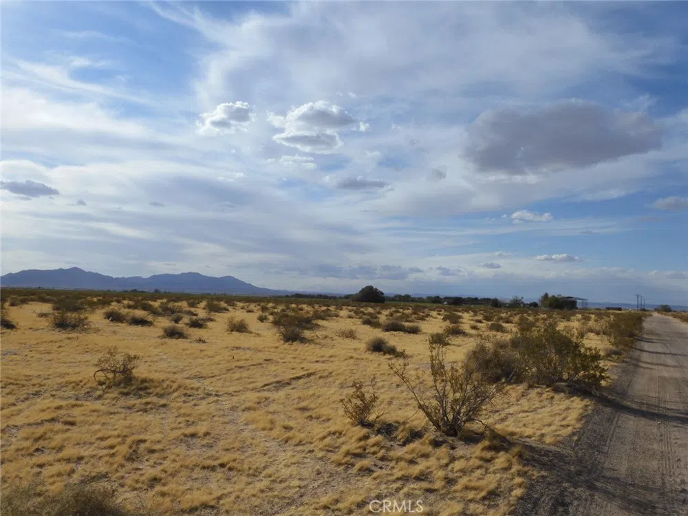 Silver Valley Road Newberry Springs, CA 92365
