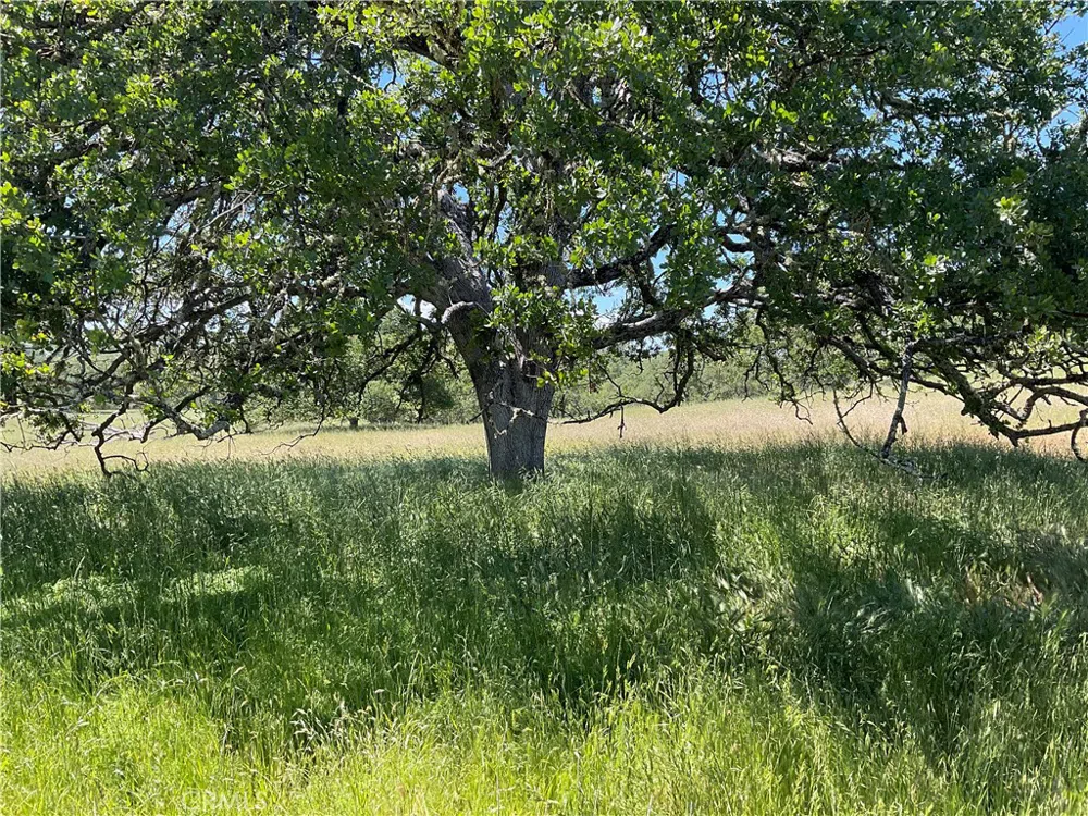 2 Interlake Road Bradley, CA 93426