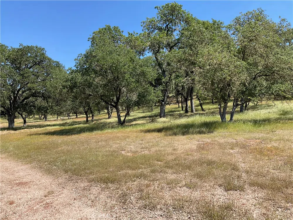 2 Interlake Road Bradley, CA 93426