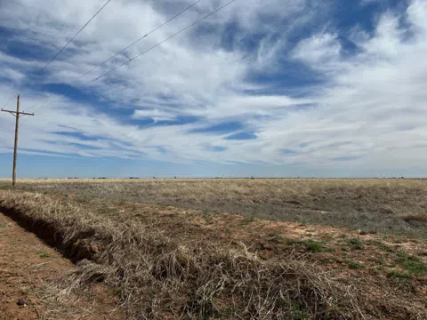 1 Colorado