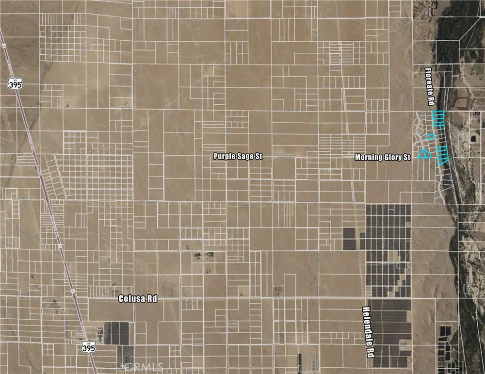 Floreate Road Oro Grande, CA 92368