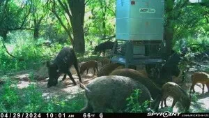 CR 129 Rule, TX 79547