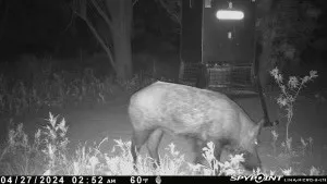 CR 129 Rule, TX 79547