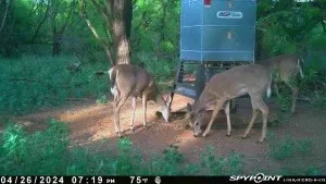 CR 129 Rule, TX 79547