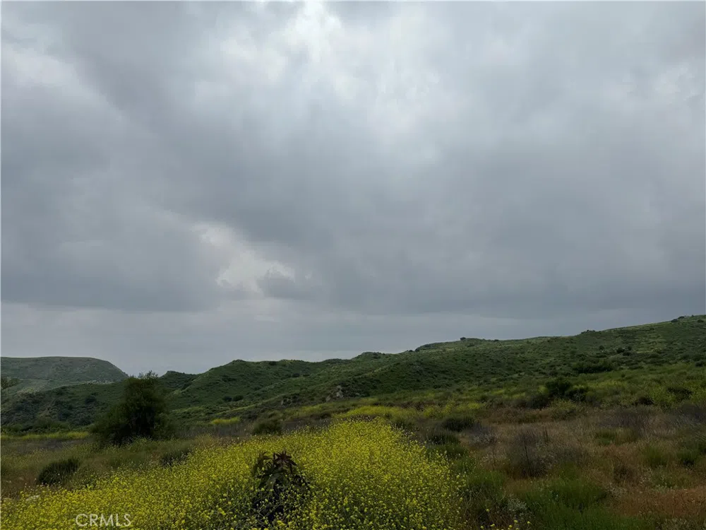 11275 Hadler Drive Kagel Canyon, CA 91342