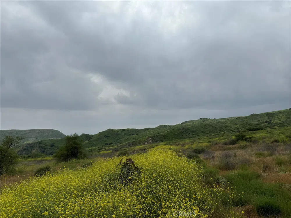 11275 Hadler Drive Kagel Canyon, CA 91342