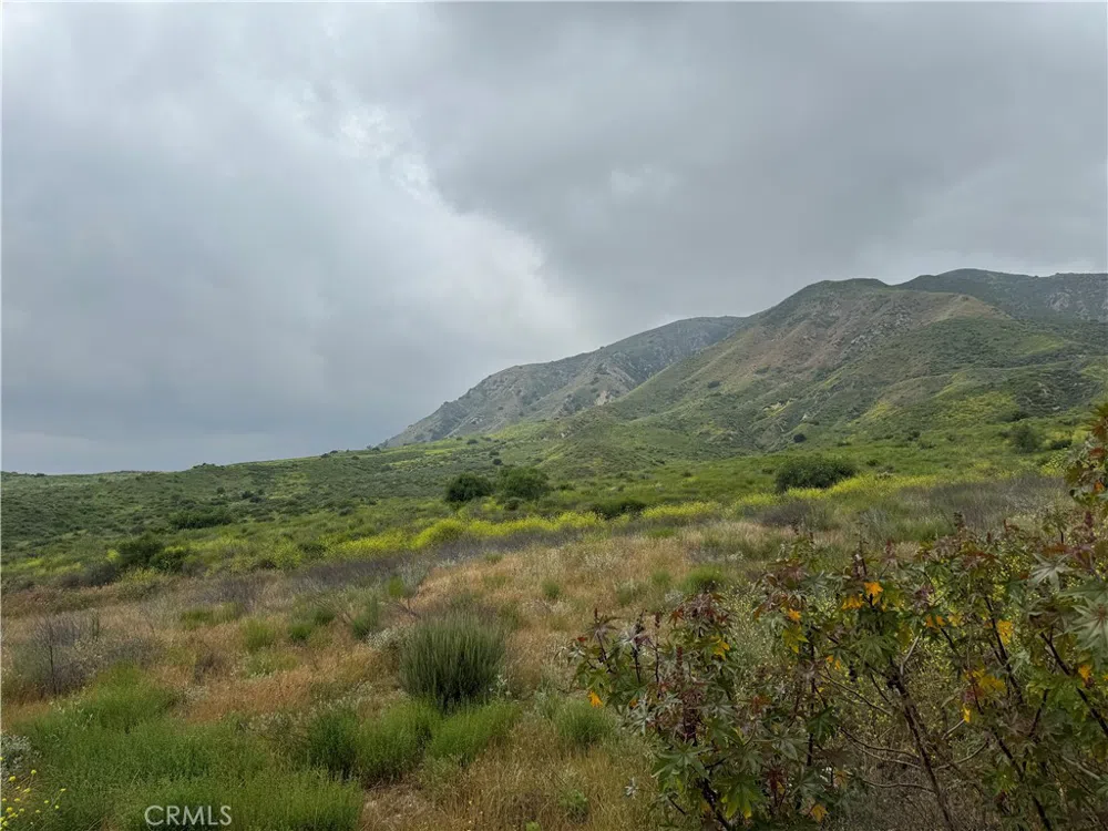 11275 Hadler Drive Kagel Canyon, CA 91342