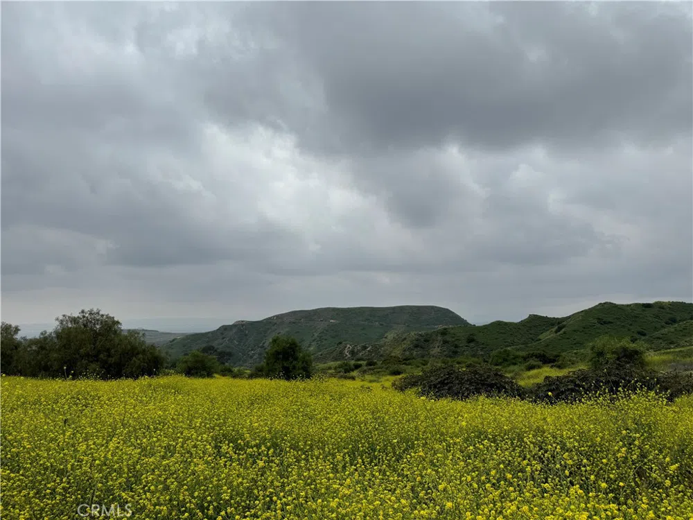 11275 Hadler Drive Kagel Canyon, CA 91342