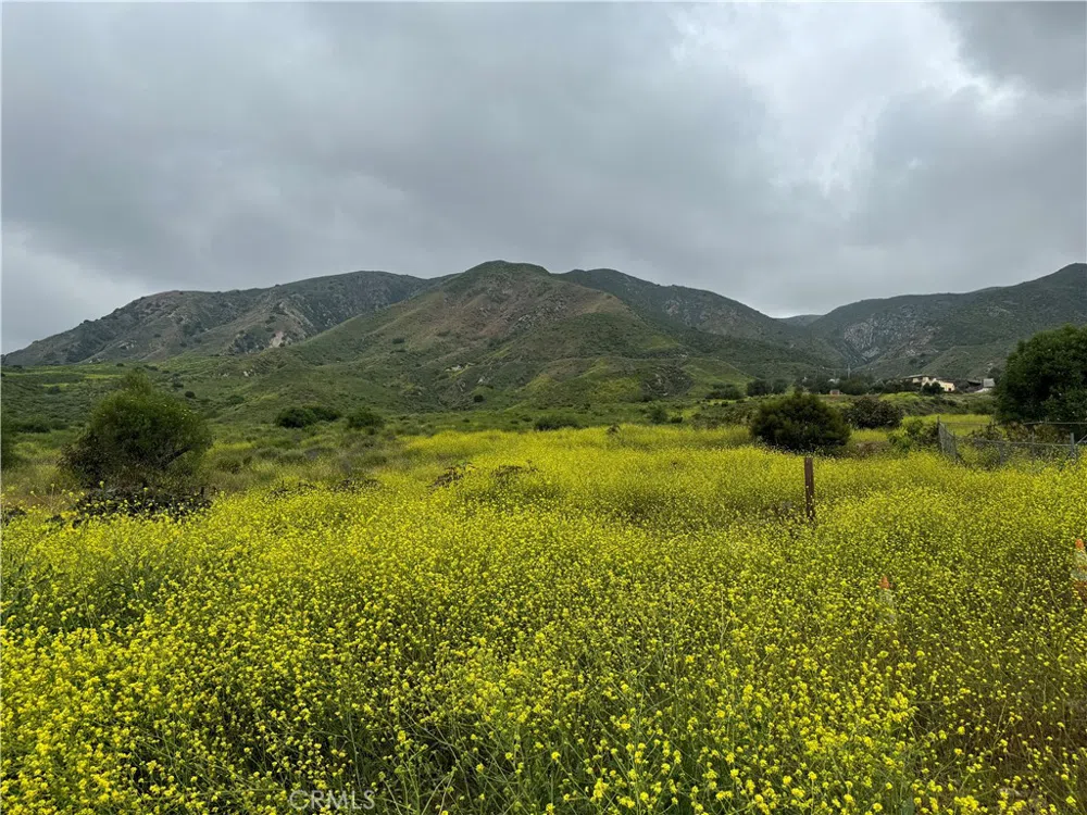 11275 Hadler Drive Kagel Canyon, CA 91342
