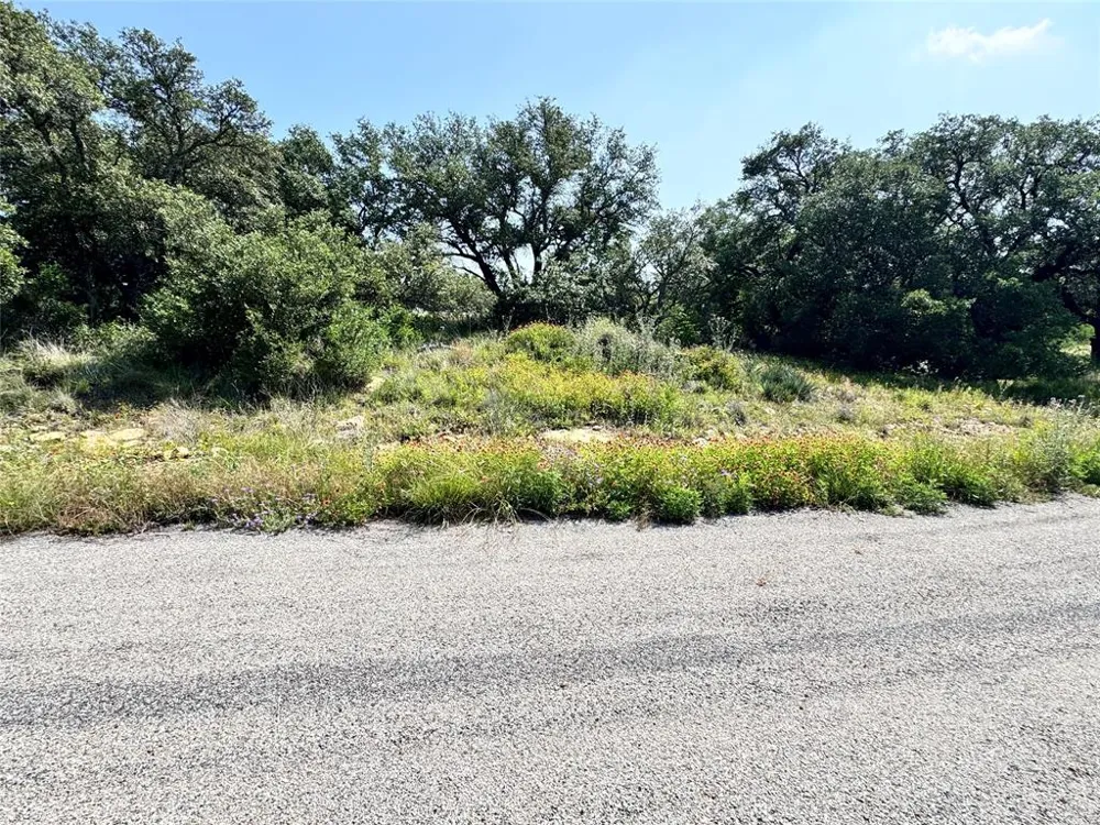 Long View Drive Brownwood, TX 76801