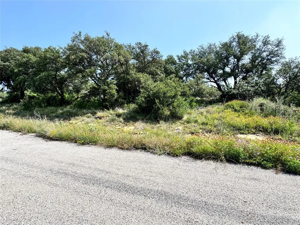 Long View Drive Brownwood, TX 76801