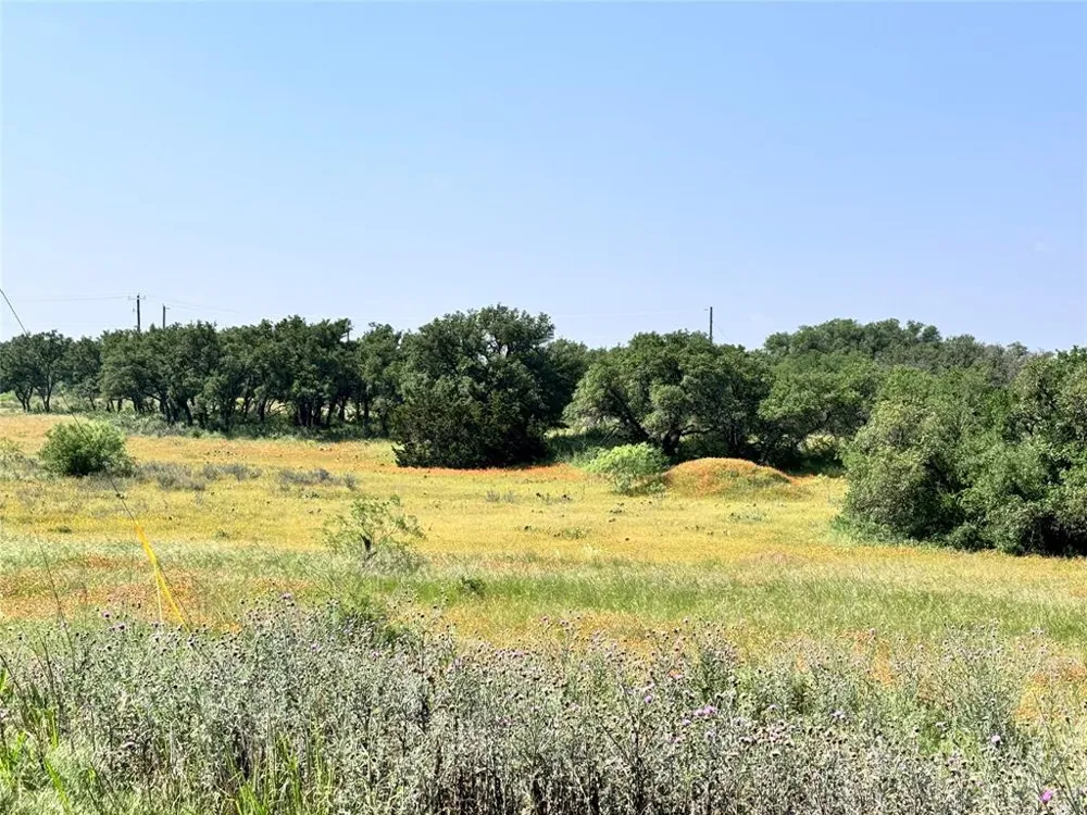 Long View Drive Brownwood, TX 76801