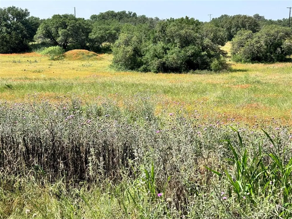Long View Drive Brownwood, TX 76801