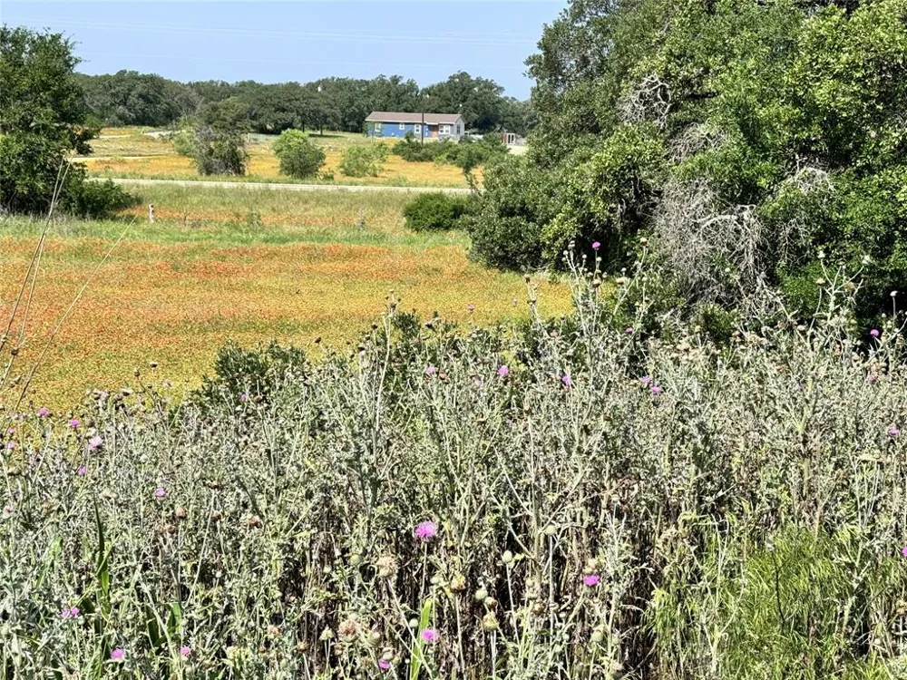 Long View Drive Brownwood, TX 76801