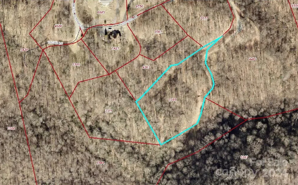 000 Chandra Lane #402 Leicester, NC 28748