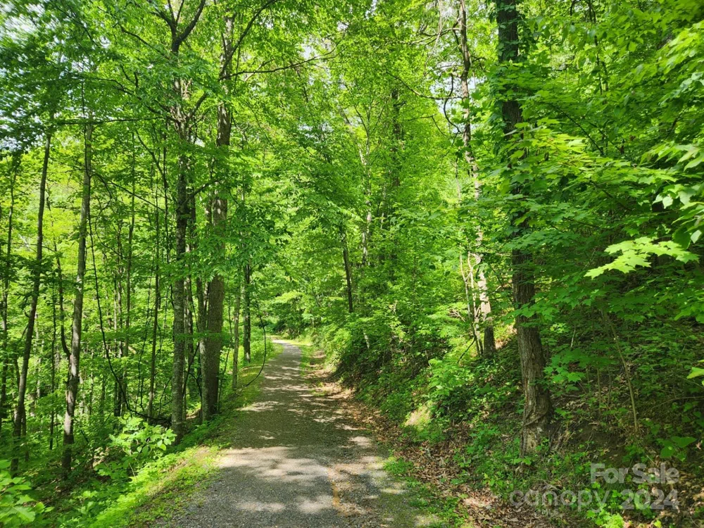 000 Chandra Lane #402 Leicester, NC 28748