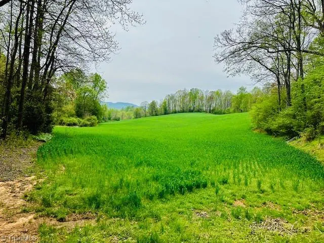 TBD German Farm Road Boomer, NC 28606