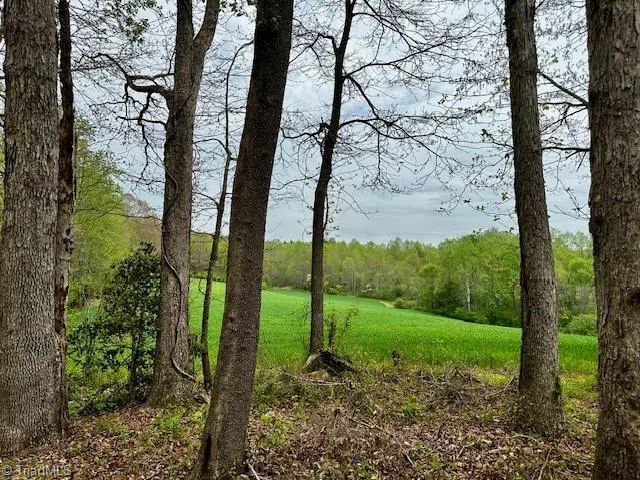 TBD German Farm Road Boomer, NC 28606