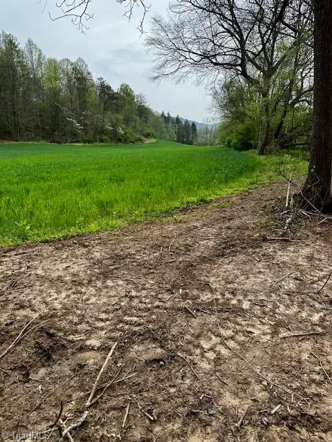 TBD German Farm Road Boomer, NC 28606