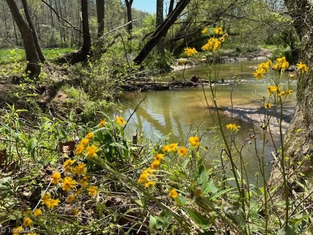 TBD German Farm Road Boomer, NC 28606