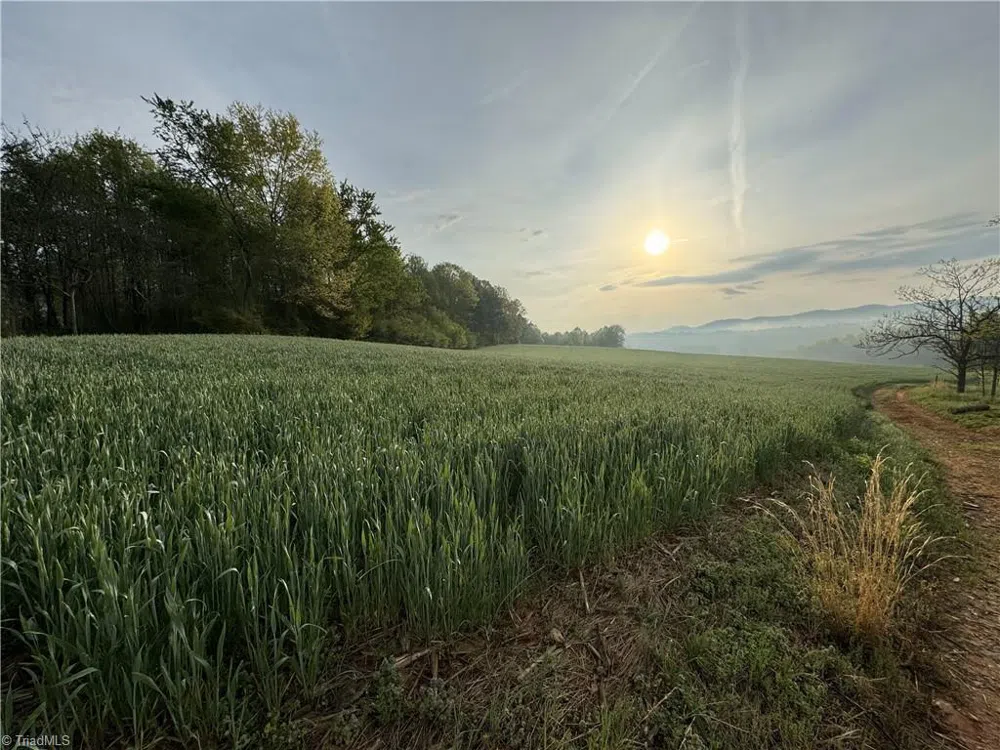 TBD German Farm Road Boomer, NC 28606