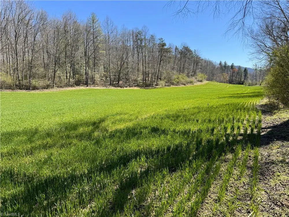 TBD German Farm Road Boomer, NC 28606