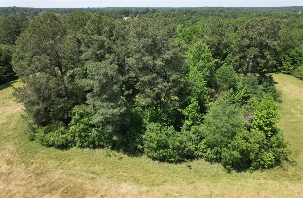 County Road 432 Tenaha, TX 75974