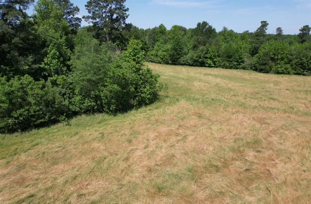 County Road 432 Tenaha, TX 75974