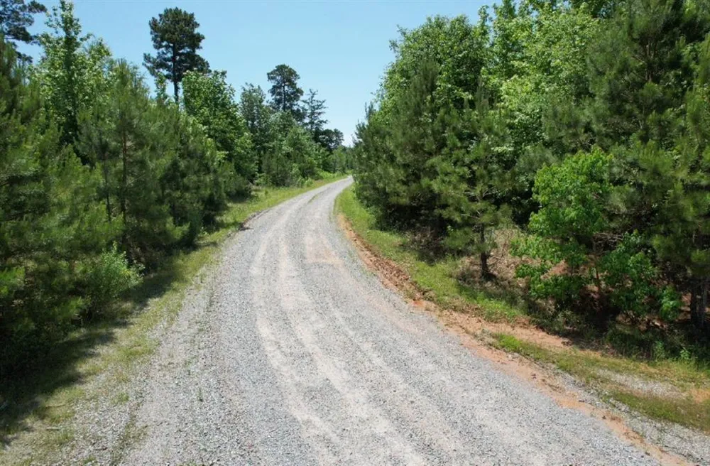 County Road 432 Tenaha, TX 75974