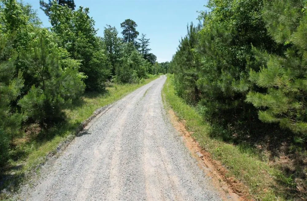 County Road 432 Tenaha, TX 75974